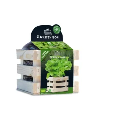 Online Garden Box Bio Basilicum Kweken En Zaden