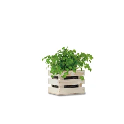 Garden Box Bio Koriander^Baza New