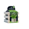 Kweken En Zaden<Baza Garden Box Bio Munt