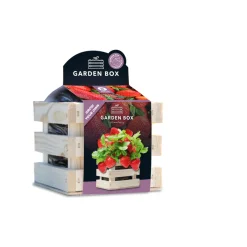 Kweken En Zaden<Baza Garden Box Strawberry Reuze Aardbei