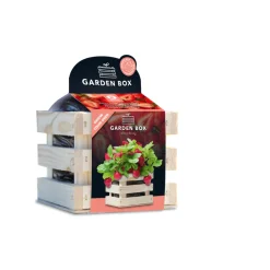 Sale Garden Box Strawberry Extra Zoete Aardbei Kweken En Zaden