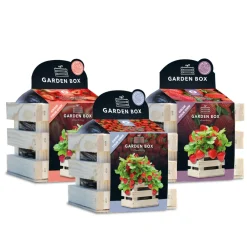 Kweken En Zaden<Baza Gardenbox Set Aardbeien 1 set
