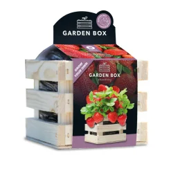Kweken En Zaden<Baza Gardenbox Set Aardbeien 1 set