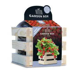 Kweken En Zaden<Baza Gardenbox Set Aardbeien 1 set