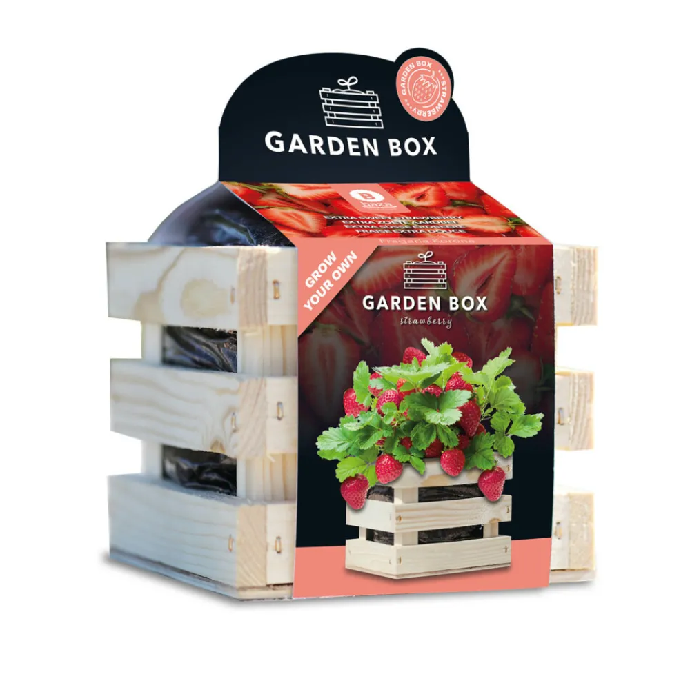 Kweken En Zaden<Baza Gardenbox Set Aardbeien 1 set