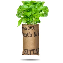 Kweken En Zaden<Baza Hangtuin Bio Basilicum