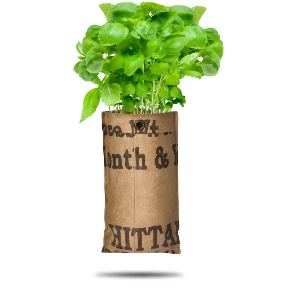 Kweken En Zaden<Baza Hangtuin Bio Basilicum