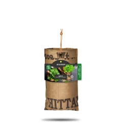 Kweken En Zaden<Baza Hangtuin Bio Basilicum