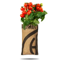 Online Hangtuin Bio Cherry Tomaatjes Kweken En Zaden