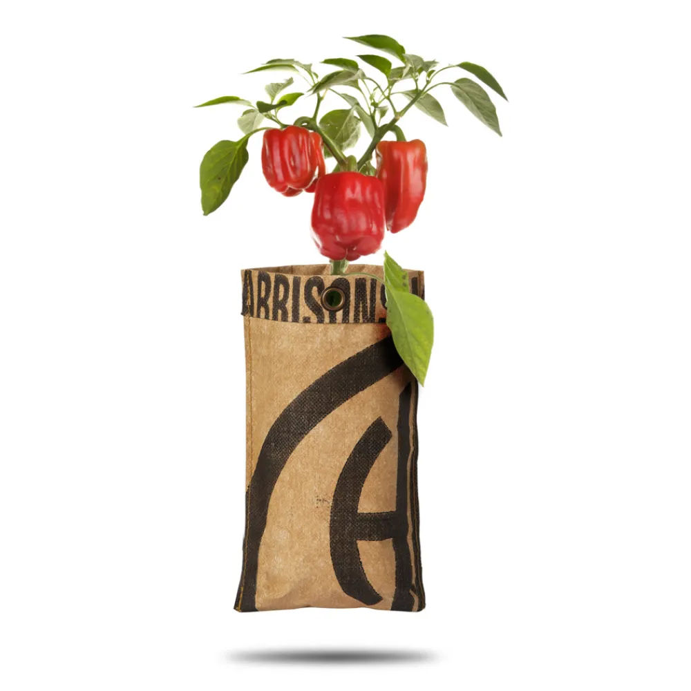 Hangtuin Bio Paprika^Baza Online