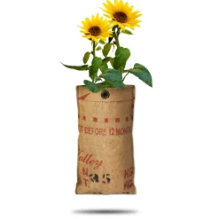 Kweken En Zaden<Baza Hangtuin Bio Zonnebloem