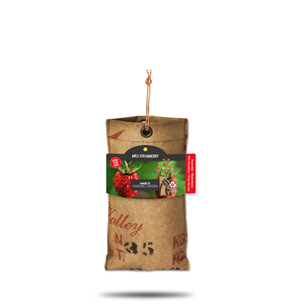 Kweken En Zaden<Baza Hangtuin Bosaardbei