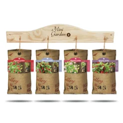 Online Hangtuintjes Set Aardbeien 1 set Kweken En Zaden