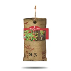 Online Hangtuintjes Set Aardbeien 1 set Kweken En Zaden