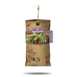 Online Hangtuintjes Set Aardbeien 1 set Kweken En Zaden