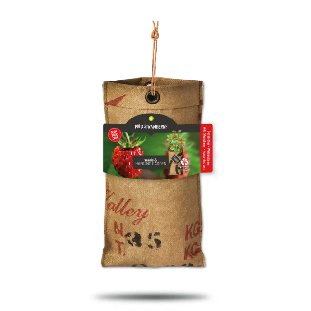 Kweken En Zaden<Baza Hangtuintjes Set Groenten 1 set