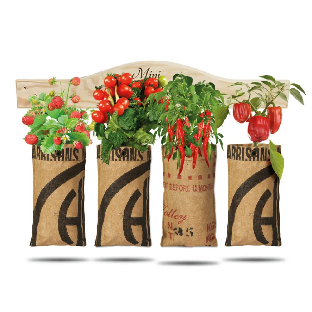 Kweken En Zaden<Baza Hangtuintjes Set Groenten 1 set