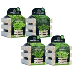 Keukenkruiden Kweek Pakket Kweken En Zaden