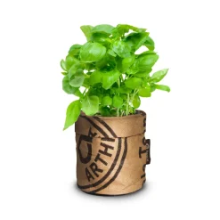 Outlet Keukentuintje Bio Basilicum Genovese Kweken En Zaden