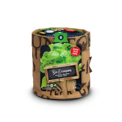 Outlet Keukentuintje Bio Basilicum Genovese Kweken En Zaden