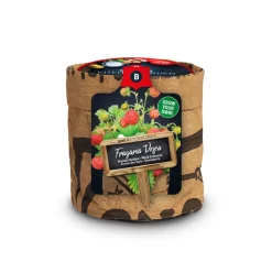 Kweken En Zaden<Baza Keukentuintje Bio Bosaardbei