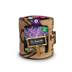 Kweken En Zaden<Baza Keukentuintje Bio Lavendel