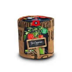 Kweken En Zaden<Baza Keukentuintje Bio Paprika Piquillo