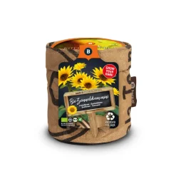 Hot Keukentuintje Bio Zonnebloem Kweken En Zaden