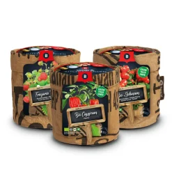 Clearance Keukentuintjes Set Kruiden Groot 1 set Kweken En Zaden