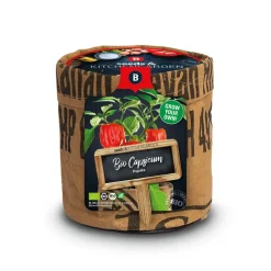 Clearance Keukentuintjes Set Kruiden Groot 1 set Kweken En Zaden