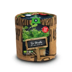 Kweken En Zaden<Baza Keukentuintjes Set Kruiden 1 set