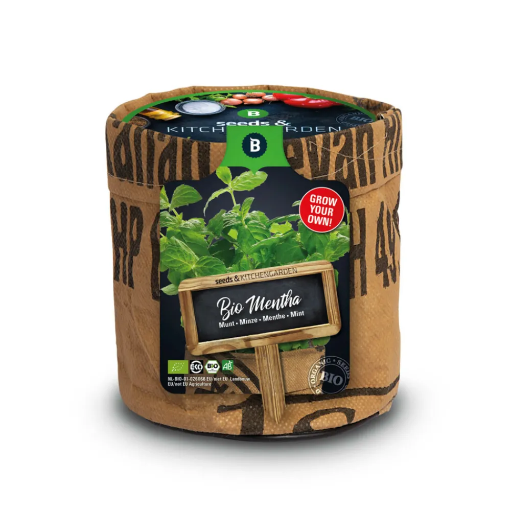 Kweken En Zaden<Baza Keukentuintjes Set Kruiden 1 set