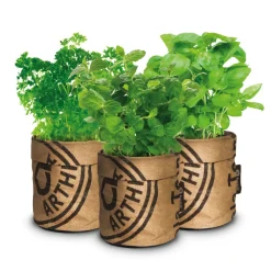 Kweken En Zaden<Baza Keukentuintjes Set Kruiden 1 set