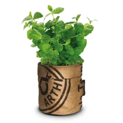 Kweken En Zaden<Baza Keukentuintjes Set Kruiden 1 set