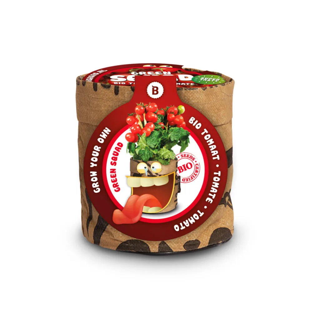 Discount Kindertuintje Greensquad Tomaten Zoete Kers Kweken En Zaden