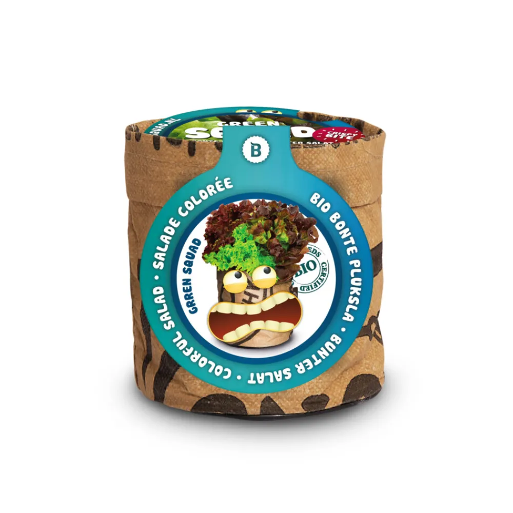 New Kindertuintje Greensquad Knapperige Sla Kweken En Zaden