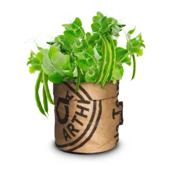 Kweken En Zaden<Baza Kindertuintje Greensquad Snelle Boontjes Speedy