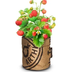 Kindertuintje Greensquad Zoete Aardbeitjes^Baza Best