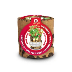 Kindertuintje Greensquad Zoete Aardbeitjes^Baza Best