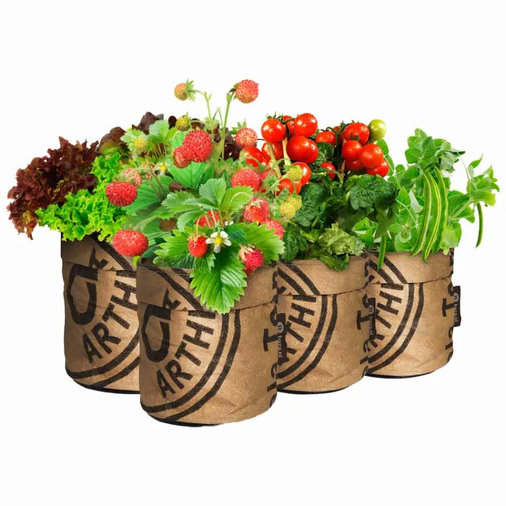 Kweken En Zaden<Baza Kindertuintjes Greensquad Pakket