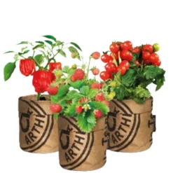 Moestuin Kweek Pakket^Baza Best