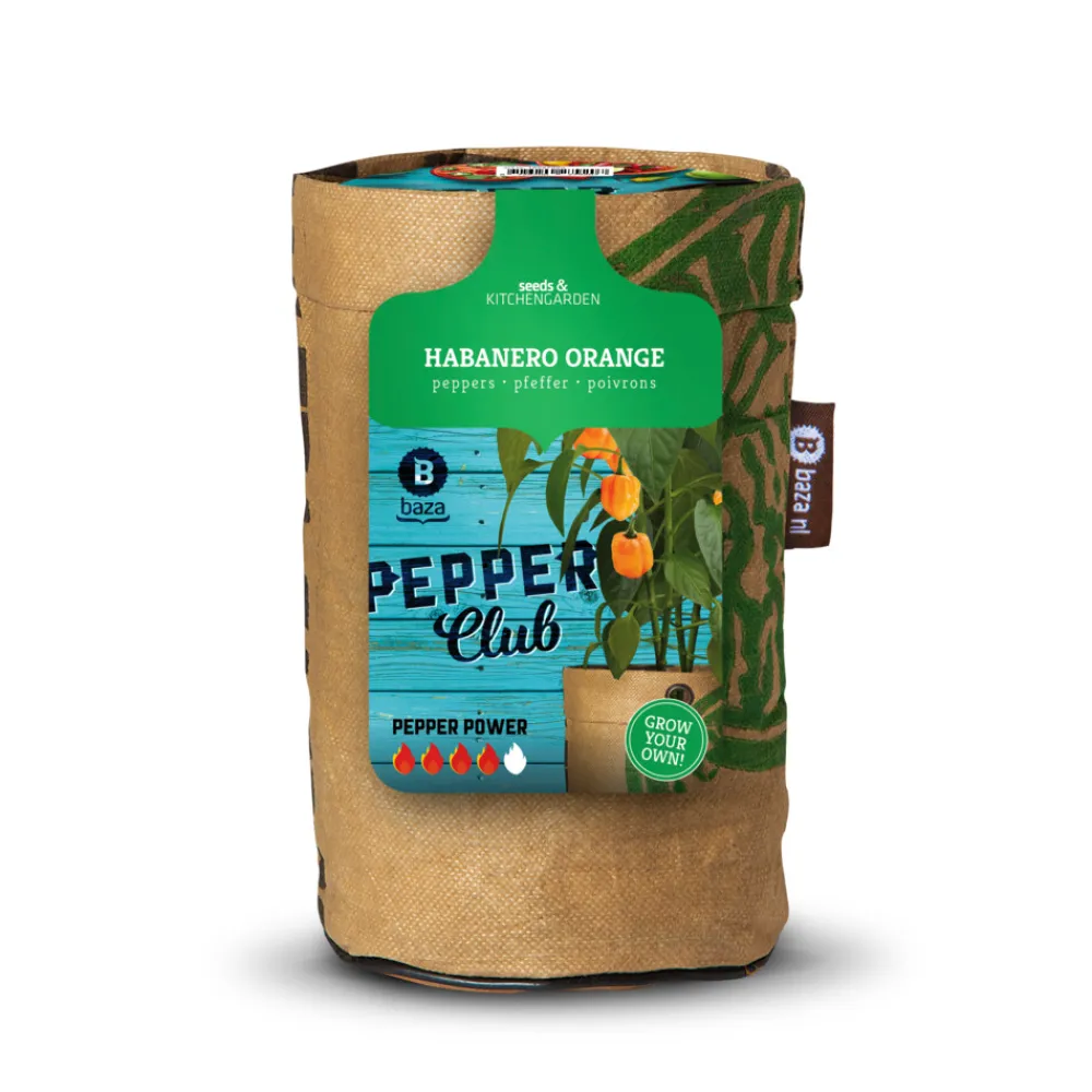 Kweken En Zaden<Baza Pepperclub Bio Habanero Orange