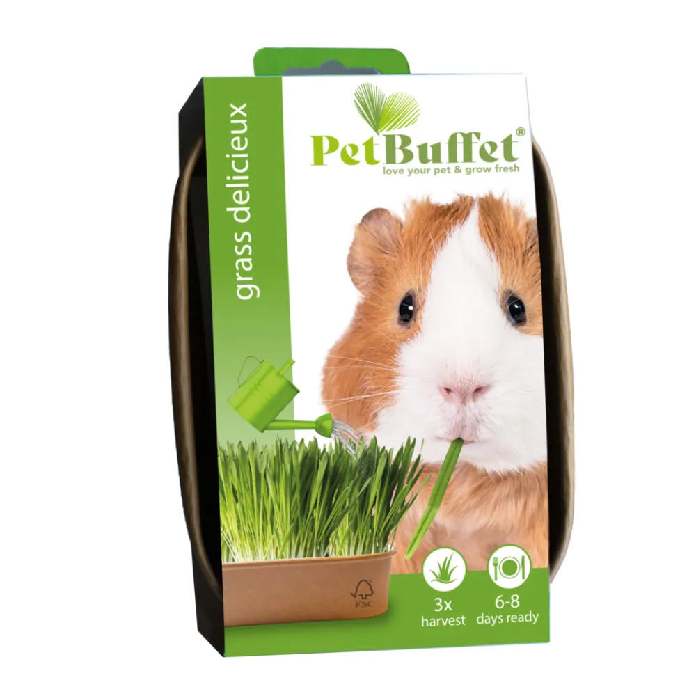 Pet-Buffet Delisieux Cavia Set 3 x Kweken^Baza Clearance