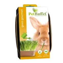 Online Pet-Buffet Gourmet Konijn Set 3 x Kweken Snacks|Kweken En Zaden