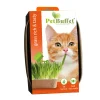 Pet-Buffet Kattengras Rich & Tasty Poes Set 3 x Kweken^Baza Clearance