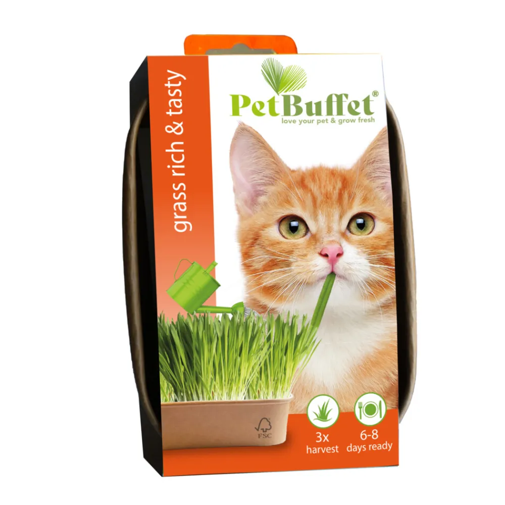 Pet-Buffet Kattengras Rich & Tasty Poes Set 3 x Kweken^Baza Clearance