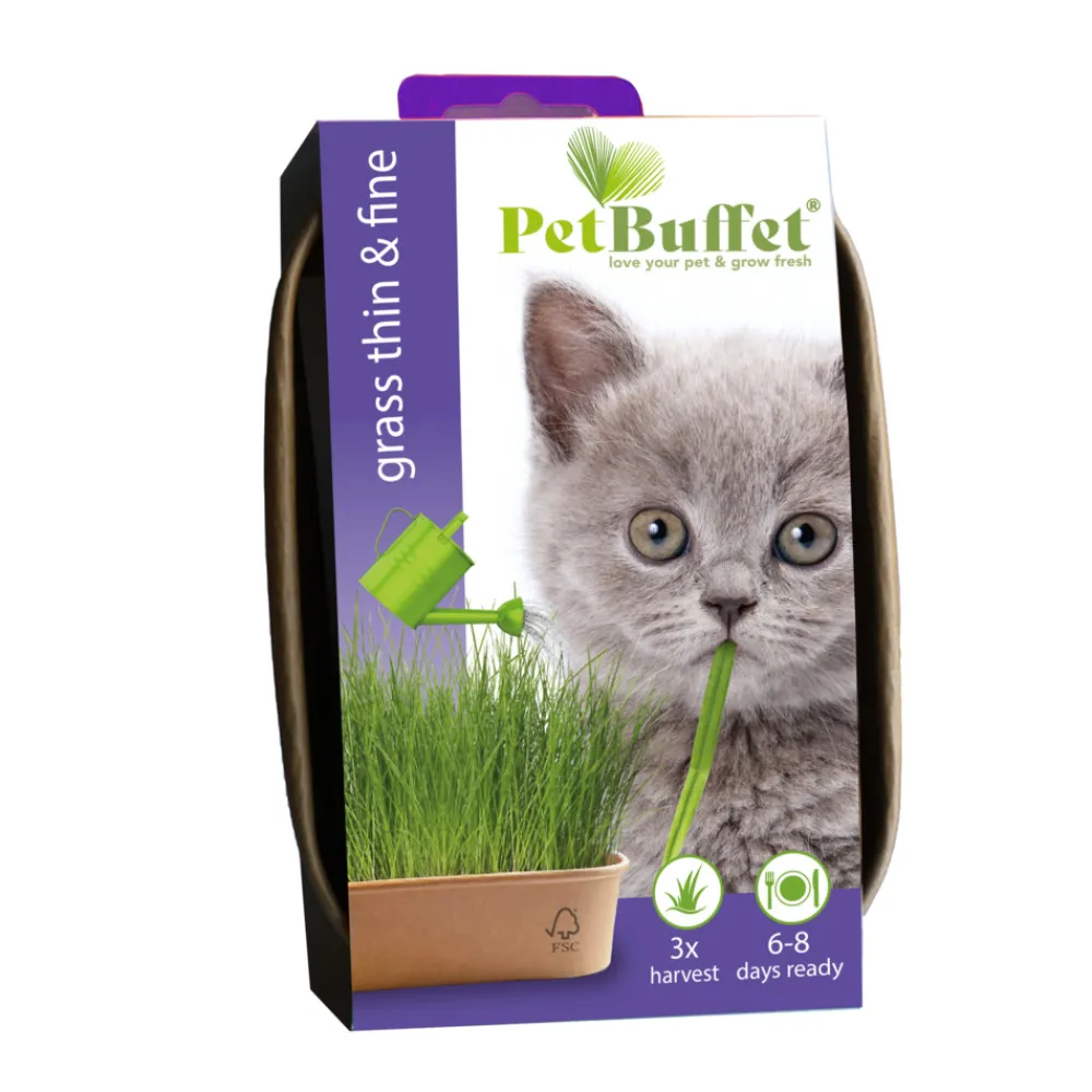 Kweken En Zaden<Baza Pet-Buffet Kattengras Thin & Fine Kitten