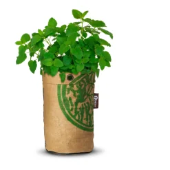 Tea Garden Bio Citroenmelisse Kweken En Zaden