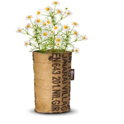 Tea Garden Bio Kamille^Baza New