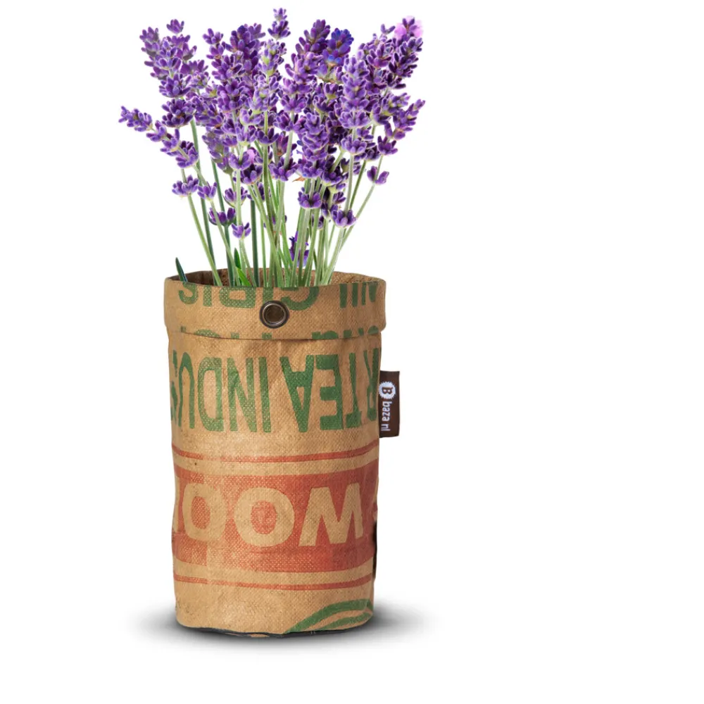 Kweken En Zaden<Baza Tea Garden Bio Lavendel